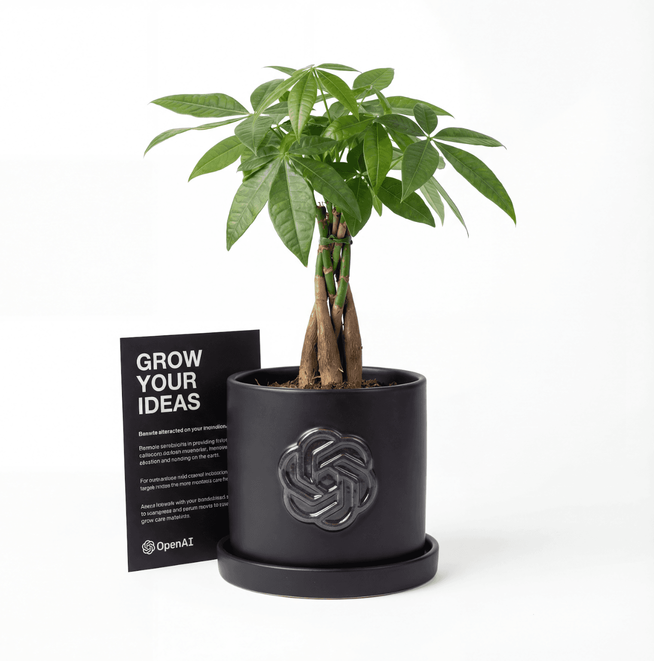 Money Tree Custom Pot.png